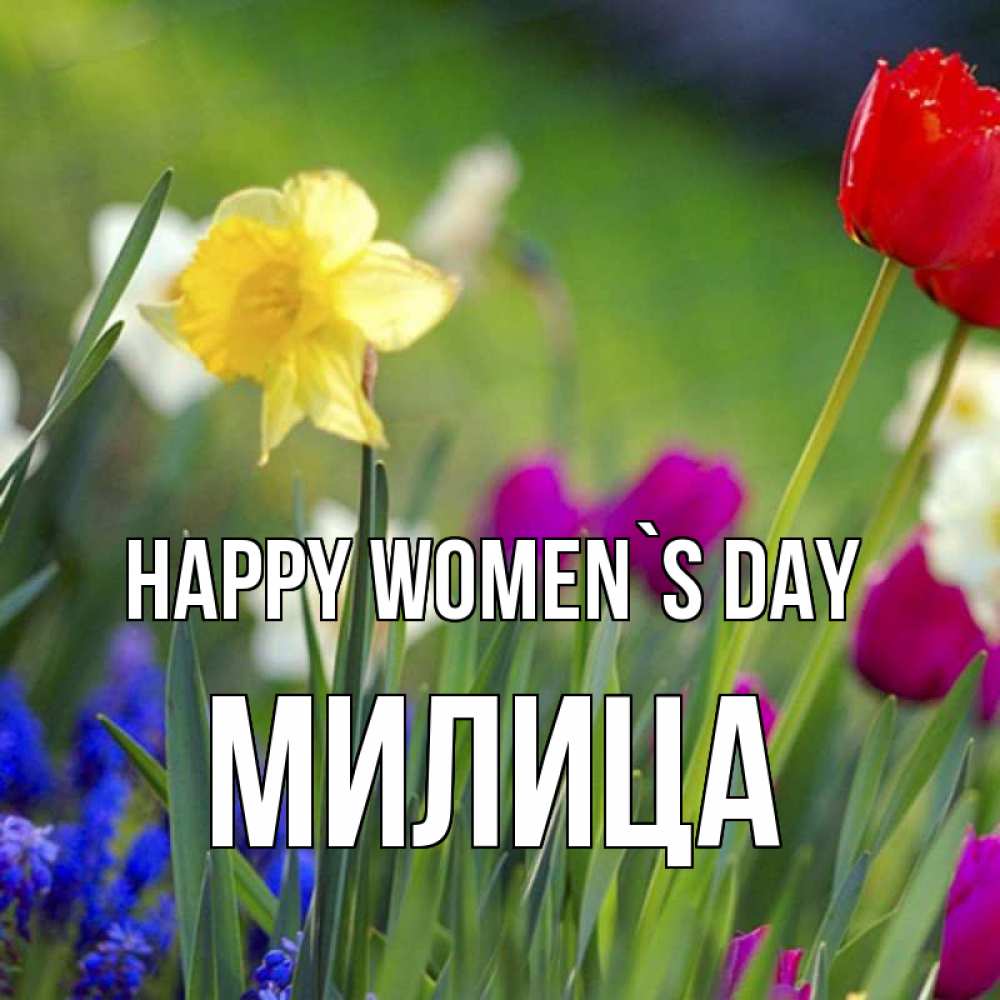 Greetings card с именем, Милица happy women`s day международный женский день 3 Greetings with text for free download 